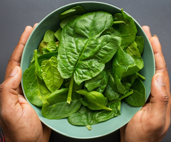 Los mejores 5 ingredientes para mejorar tus licuados